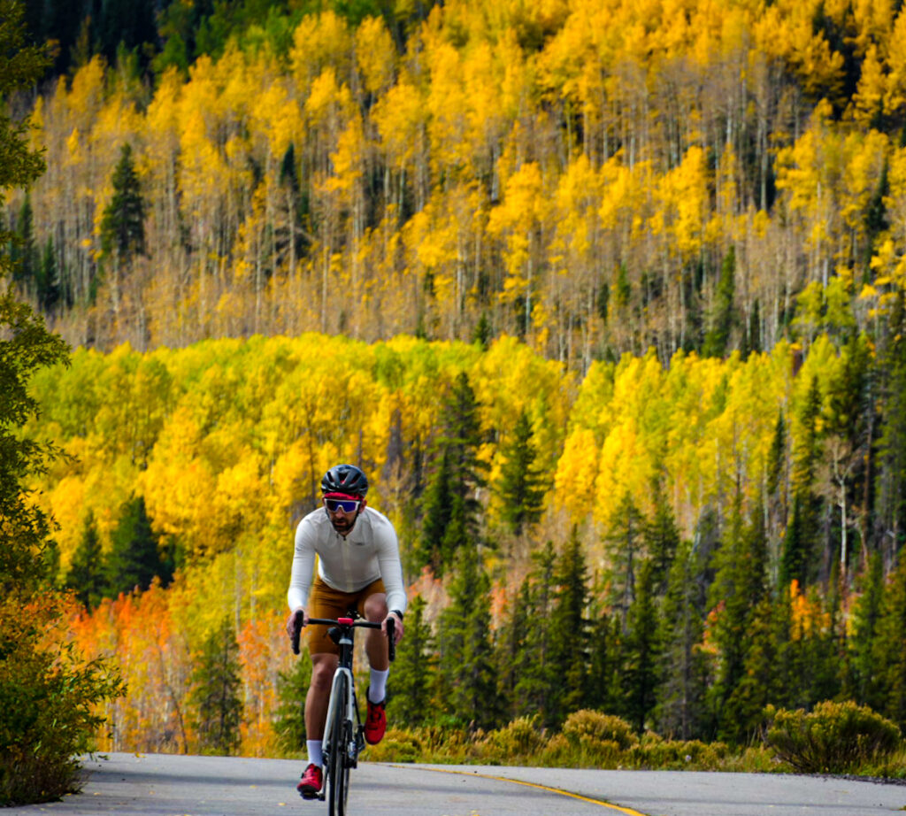 Cyclist with fall leaf colors in background
